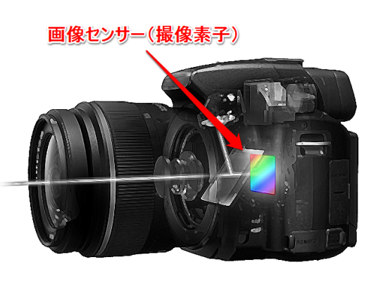 カメラのセンサーサイズのセンサー部分
カメラ初心者の選び・購入ポイントのウェブサイトより引用